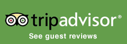 tripadvisor